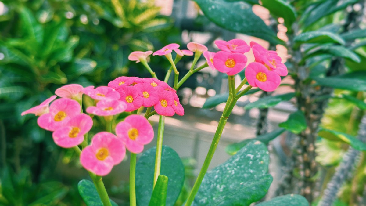 安村栄美 | EMI YASUMURA (@working_robot) on Twitter photo 