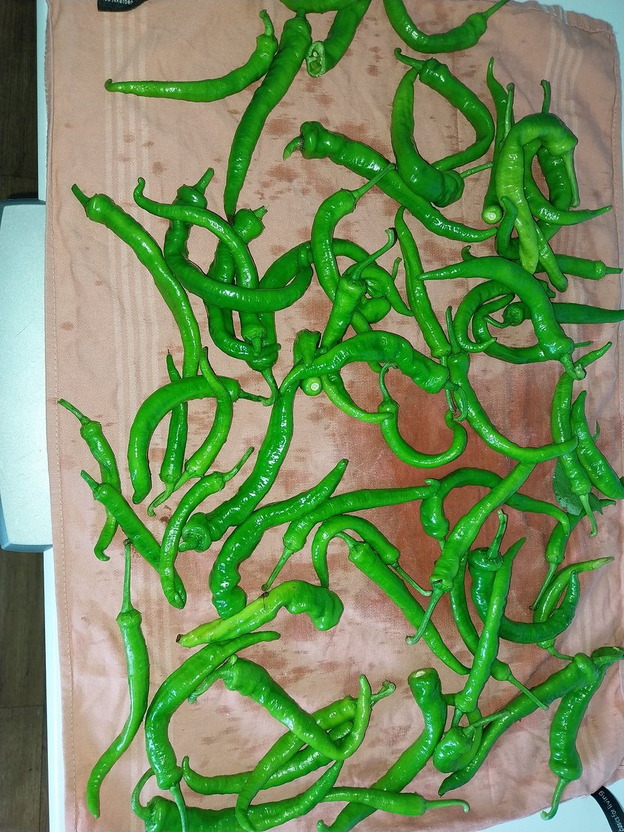 Iemand nog een lekker receptje ? 🔥🔥🔥🔥