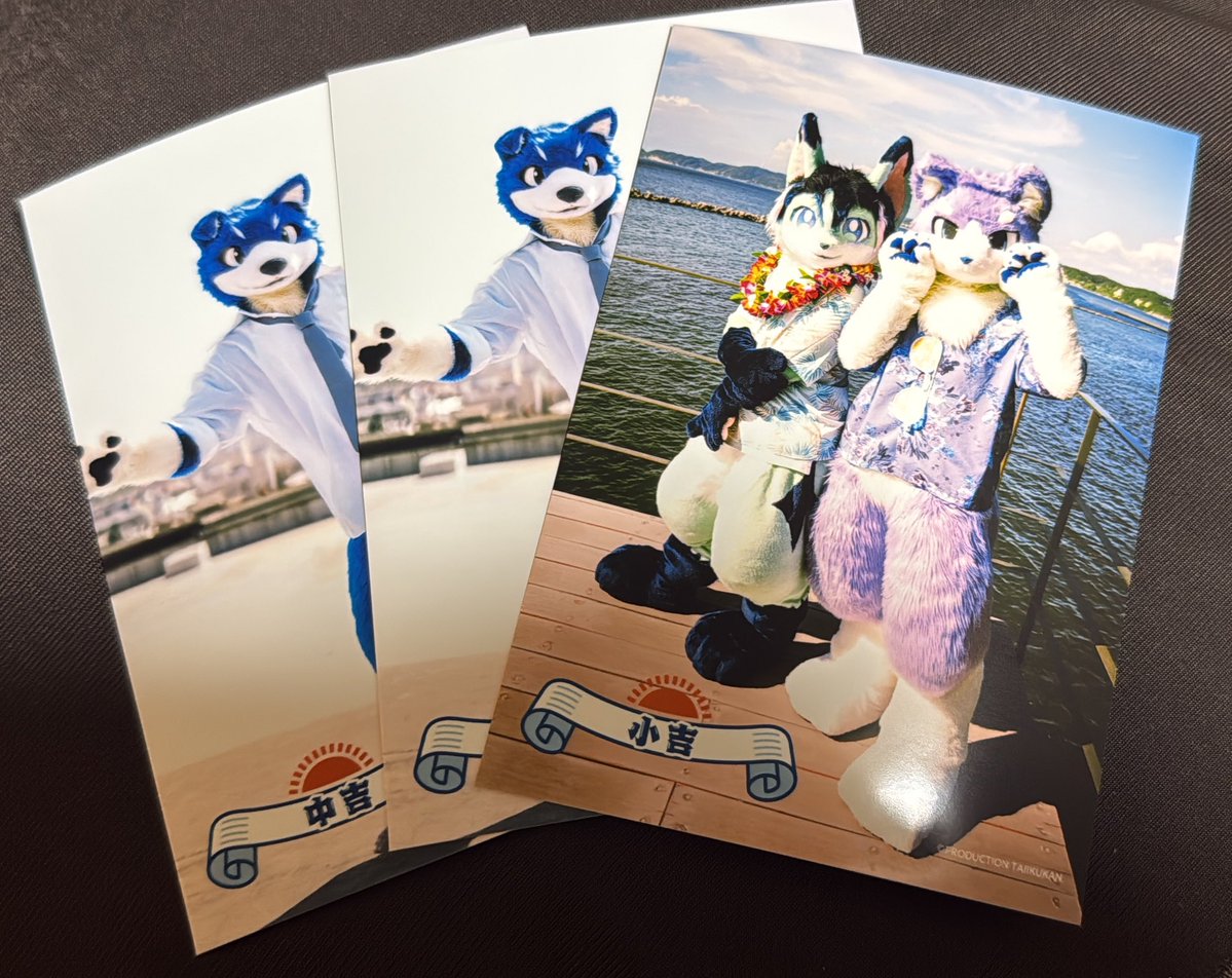 Macarel727's tweet image. がじがじズムだった🎞️