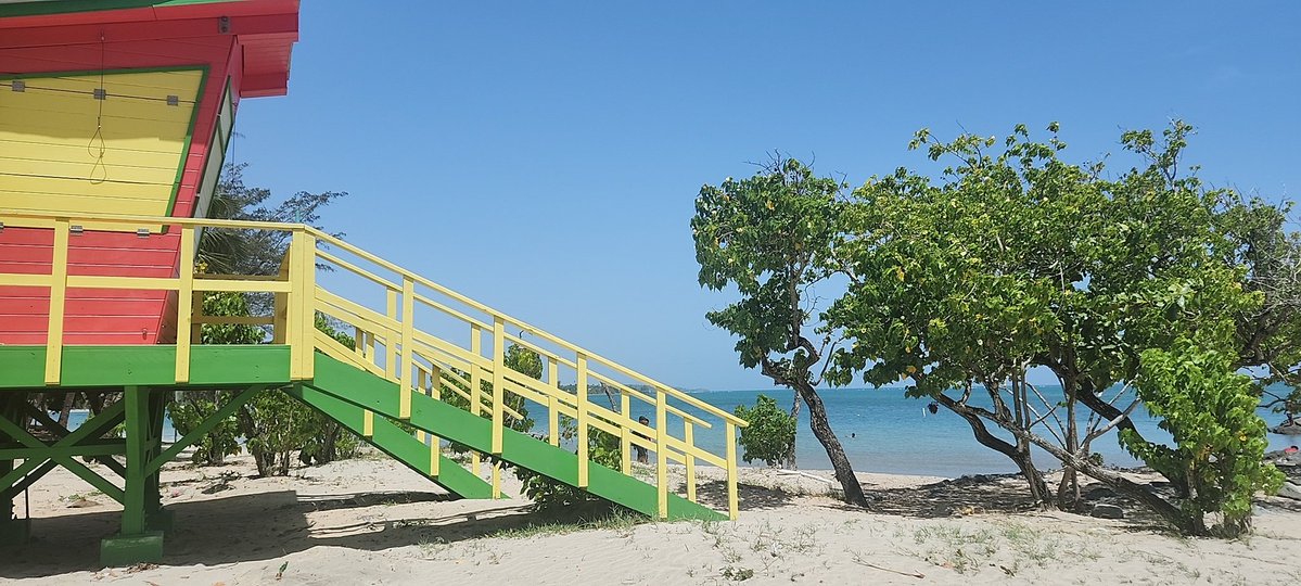 crypto_bori's tweet image. Good Morning from Paradise 😎