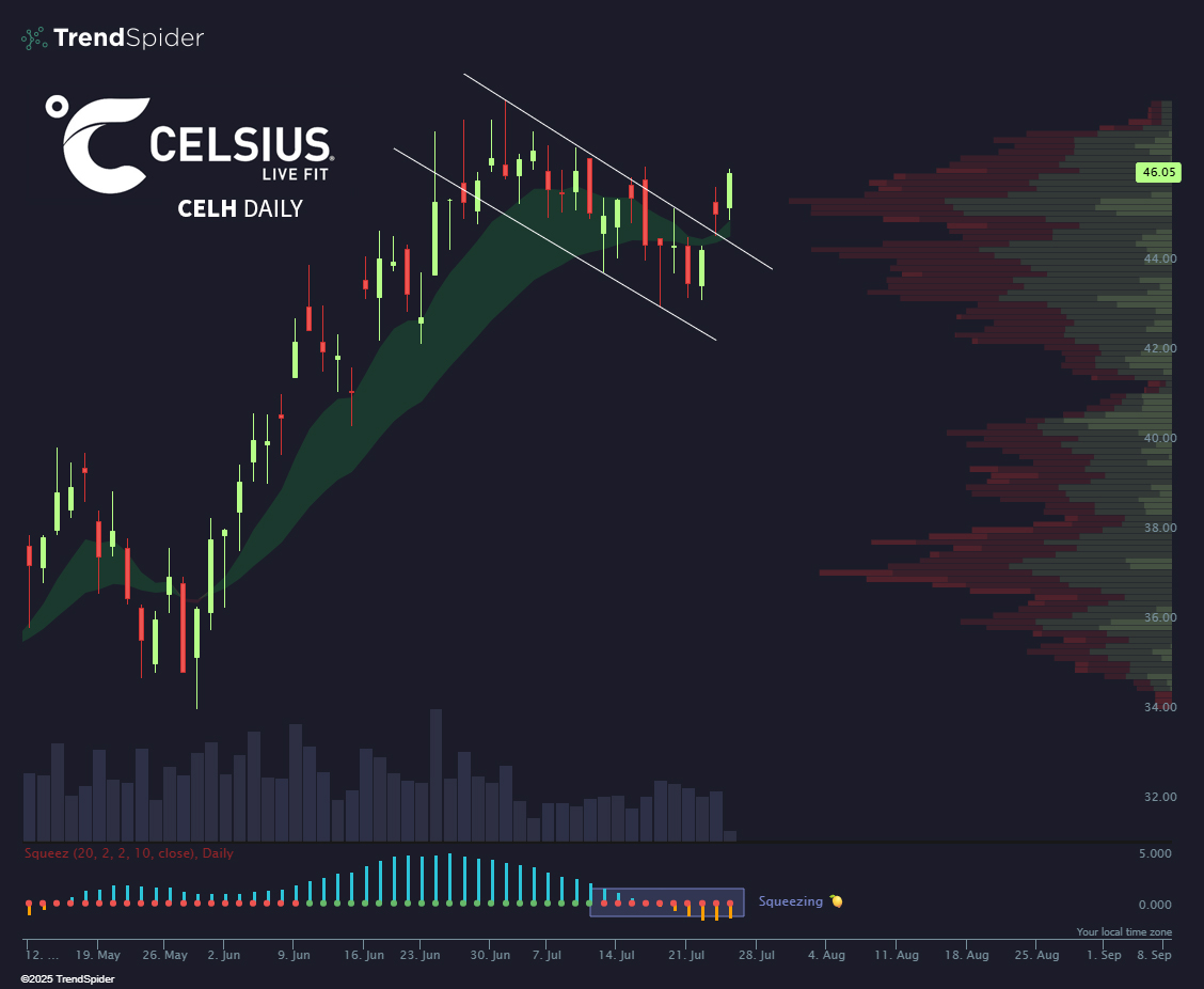 🍋 + 🐂 🚩

What's not to like?  $CELH