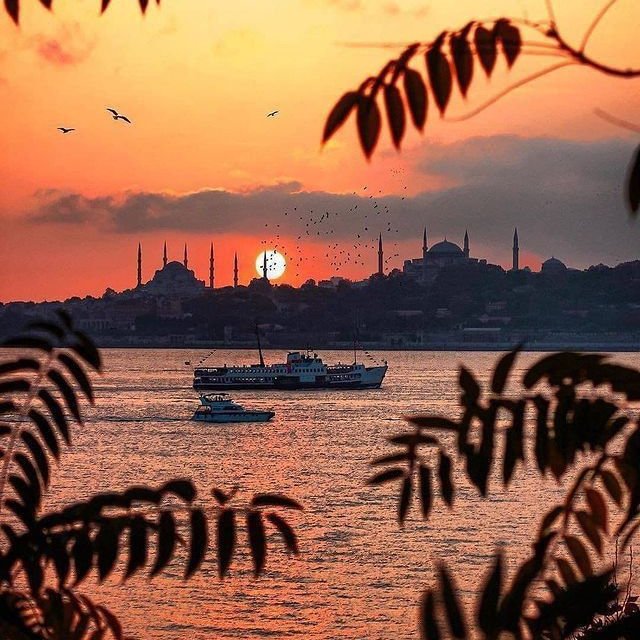 Gungordemirkan1's tweet image. ▫️“Ama kötü fikirlerin
ürkütücü yanı, şeytani
zihinlerle yavaş yavaş
yakınlaşmalarıydı.”
#AlexandreDumas🎂
#SiyahLale📚(s.62)
#GünAkşamda💫