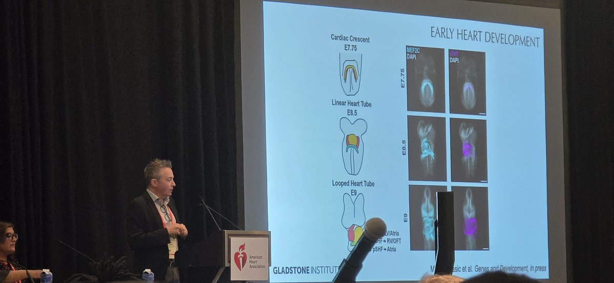 amit_k_rai17's tweet image. 🚨 Happening Now at #bcvs25: Dr. Benoit Bruneau (@benoitbruneau) is delivering the keynote “Transcriptional Regulation of Heart Development: Now in 3D” 🫀 Exploring the 3D architecture of gene control in the heart. @AHAScience @BCVSearlyCareer #HeartScience #bcvs2025