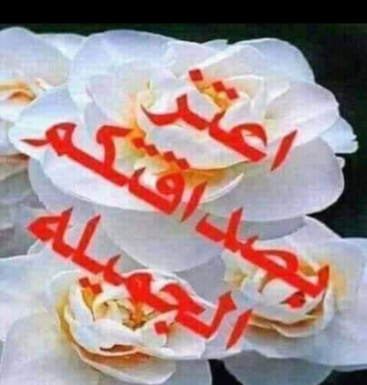 فواز (@abwamr74687) on Twitter photo 
