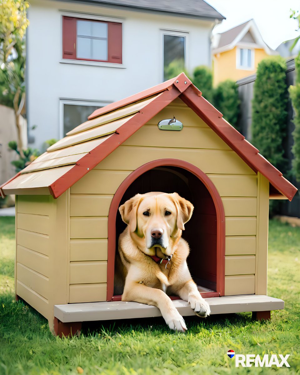 Everyone deserves to find their paw-fect home, especially our furry family members. Dreaming of a backyard for your four-legged friend? Tell us your ideal location! 🐾 ⤵️