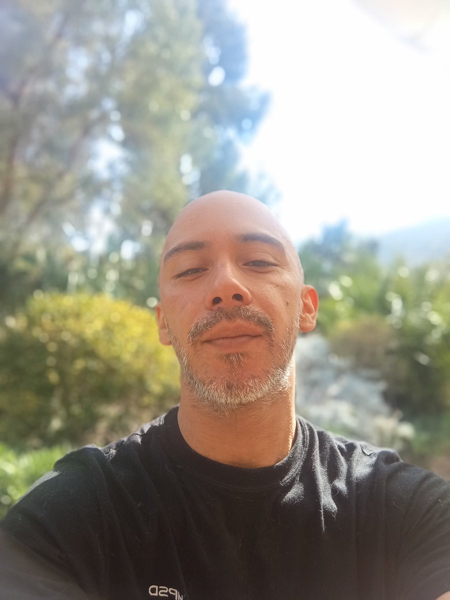 Gato 🐱 tweet media