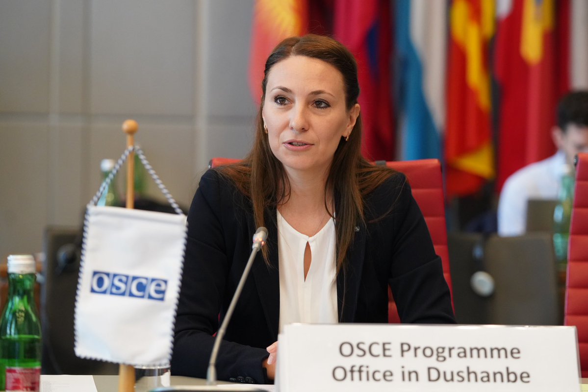 SwitzerlandOSCE's tweet image. 🇨🇭 commends @OSCEDushanbe for its vital work in strengthening border security and addressing transnational threats through capacity building.👏 Tatiana Turcan, for your insightful report to the #PC and to your entire team for their dedication!
📸OSCE/Ghada Hazim