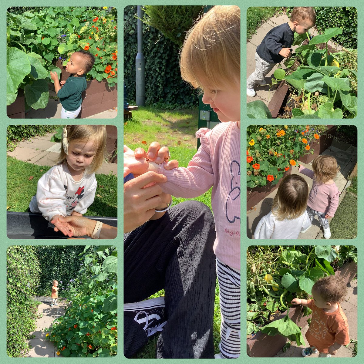 Babies ventured over to the planters to see what they could see….. a ladybird was happy to say hello to them all and they enjoyed looking for vegetables🙂🐞 #exploring #understandingtheworld #senses