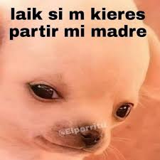 elRubsRamone's tweet image. Muuuuy buenos dias Poderosos 
@ruleiro @eltalcha 
No se si es porque chacito esta a distancia, pero escucho su voz medio rasposa 🫨
#PoderosoDiscoClub6