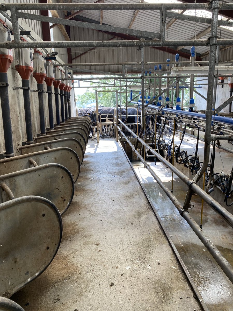 Thanks very much to ⁦<a href="/sprinkles785/">Catherine</a>⁩ and Liam for hosting our DG group this morning very interesting and lovely people as I go to do this for the second time today 🙈