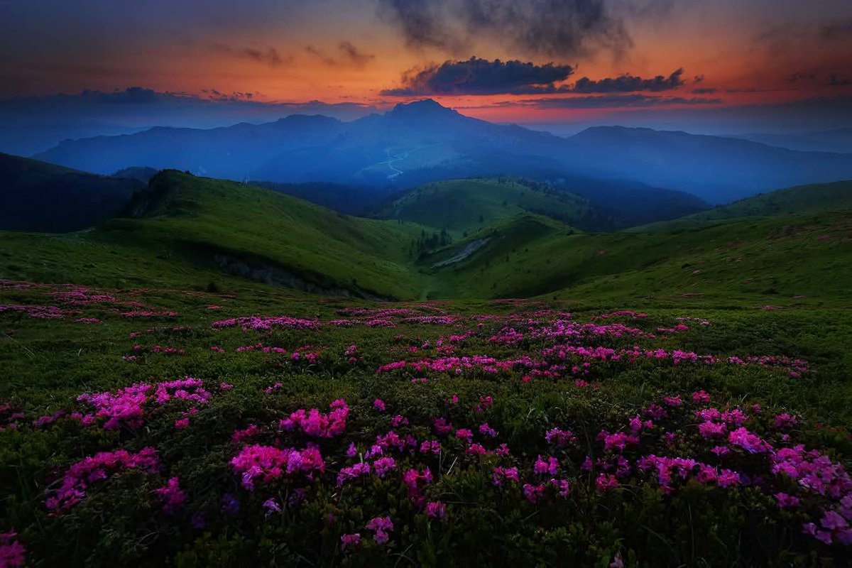 xyzwtf_55's tweet image. Going down til tomorrow..
#photography
#photographer
#mountains 🇷🇴
#memories