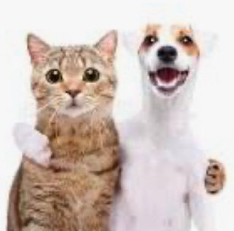 NOPHDCUPID's tweet image. 