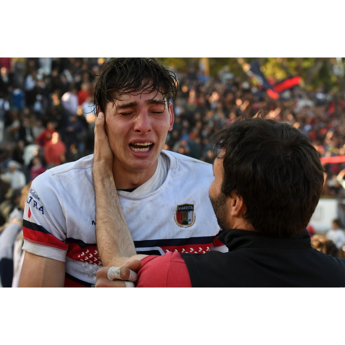 Rodrigo D'Angelo tweet media