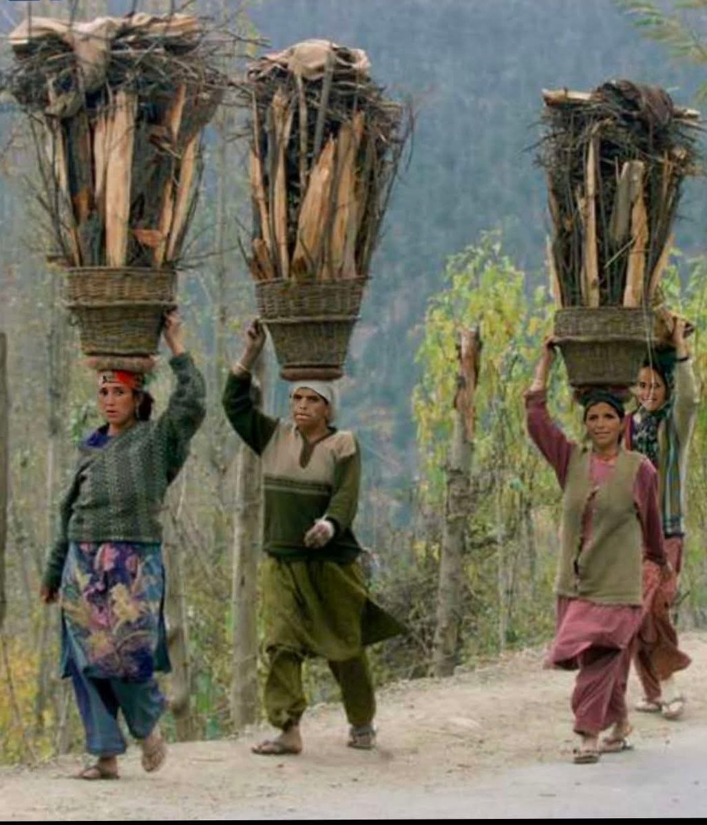 JhanUlfat's tweet image. Tribal life 
Real life