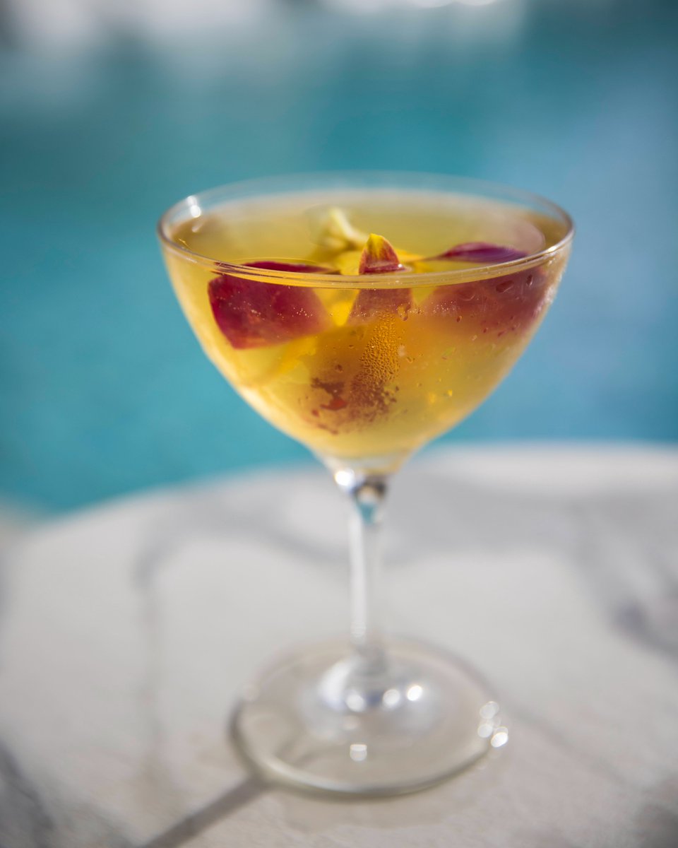 Today’s pairing: sunshine + tequila ☀️🥃 Happy National Tequila Day!