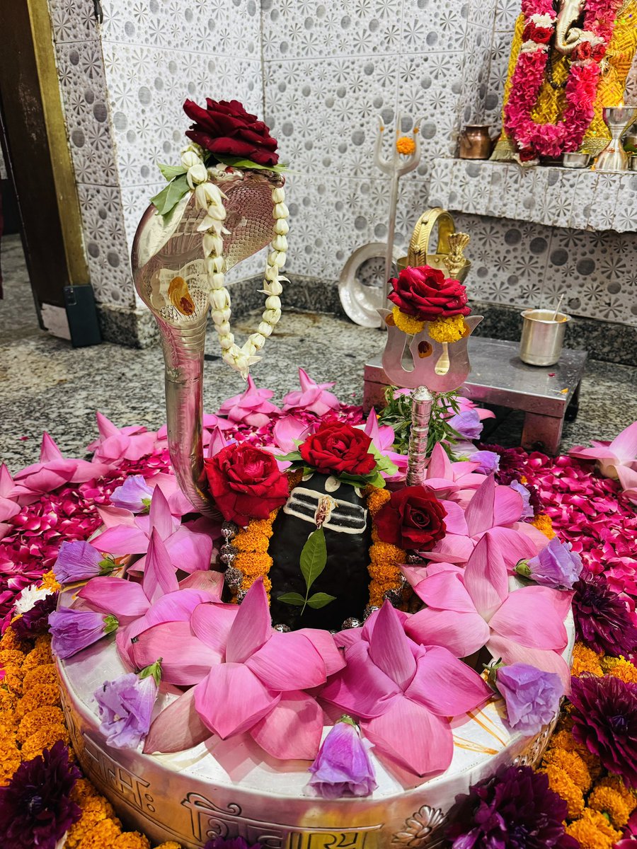 neelkanthtemple's tweet image. शुभ रात्रि श्री नीलकंठ महादेव जी
📍 श्री नीलकंठ महादेव मंदिर उत्तराखंड