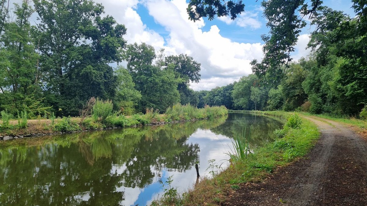 Bonjour à tous 👋 ! Nous sommes le vendredi 25 juillet. Aujourd'hui, nous fêtons les Jacques. Ciel très nuageux ce matin, des éclaircies arrivent dans l'après-midi. Il fera jusqu'à 24 °C. Bonne journée avec actu Rennes 🙂