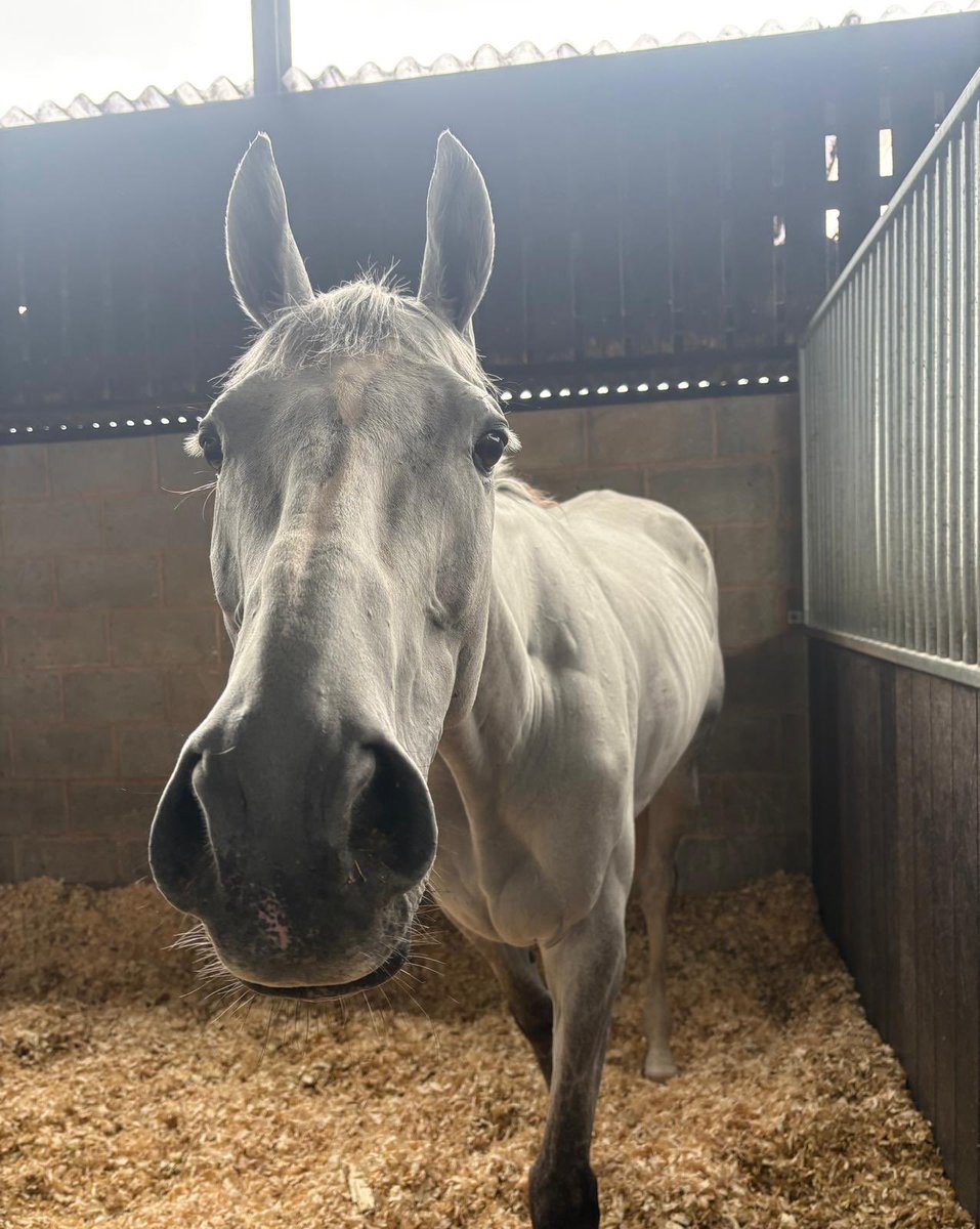 Donald McCain Racing tweet media