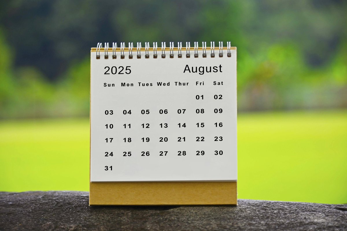 mihomeless's tweet image. Schedule a Local Meeting with Your Lawmakers Today - MCAH has all the tools you need.
mailchi.mp/mihomeless.org…