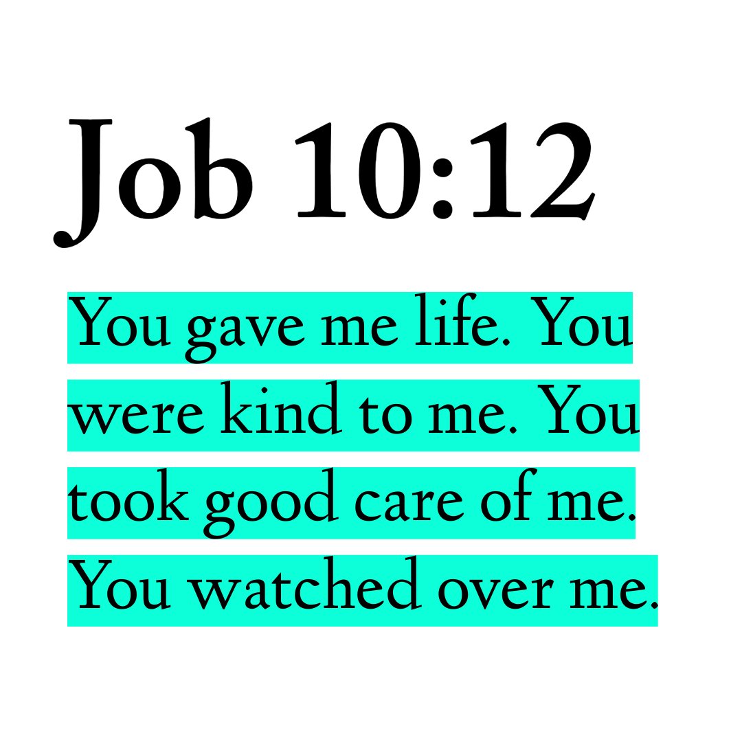 Holy Bible (@biblewisdom) on Twitter photo 