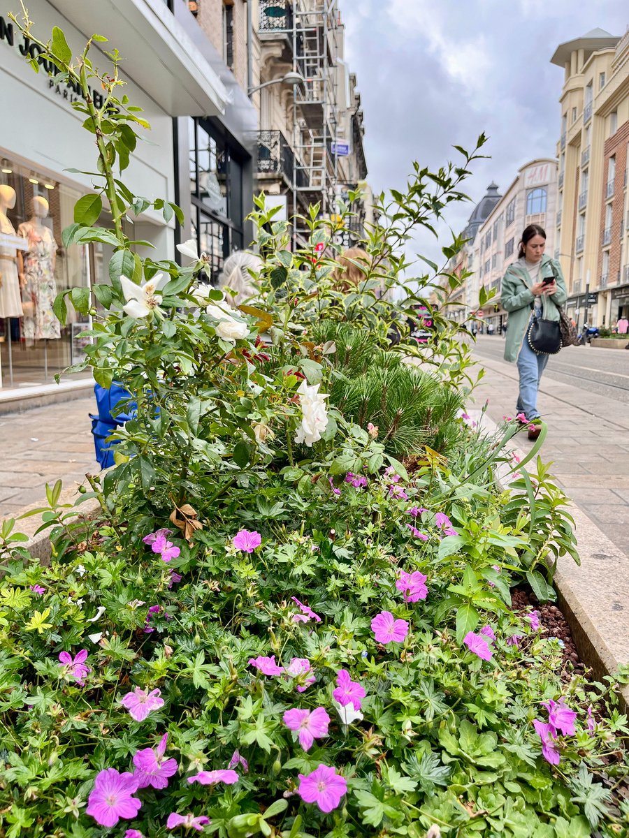 One of the biggest barriers to re-greening cities is the idea every resident is entitled to 10 square metres of paved public space for a private vehicle that sits idle 23.5 hours per day. A notion Reims is slowly challenging, and de-paving its streets one parking space at a time.