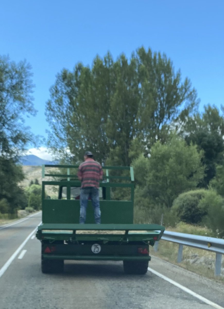 ErnestodMartin's tweet image. Otro de los muchos efectos perniciosos que los lobos están sembrando en el medio rural es que están convenciendo a muchas personas de ir subidas en los tractores como se les ponga en la punta de las pelotas, pa ver si se matan. Qué bichos del diablo.