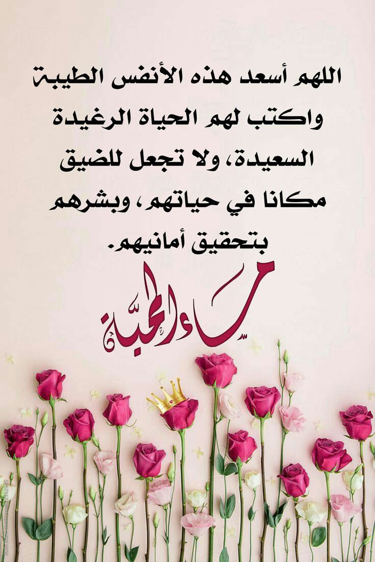 عبير الشمري (@alagil42434) on Twitter photo 