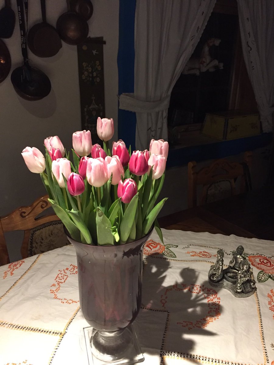 HildeRoll's tweet photo. https://t.co/5ovdPdHj28