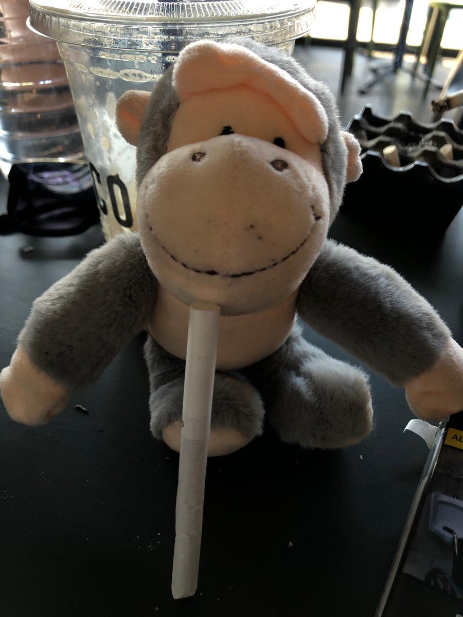 cigarattes after monkey