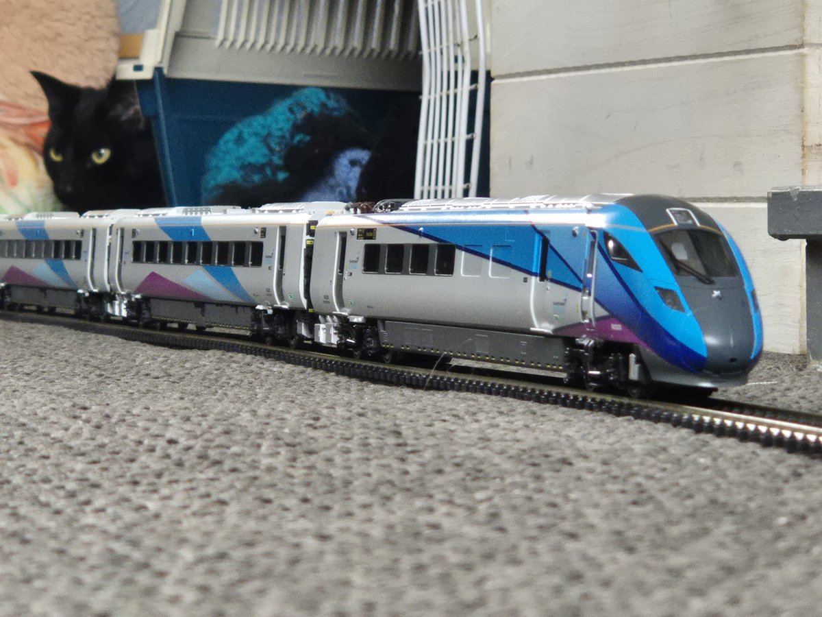 158820ATW's tweet image. On my Model Railway My cat was watching over Transpennie Express 802 203
Note the tracks are temporary as I thought the cat is there so I thought get a sneaky video