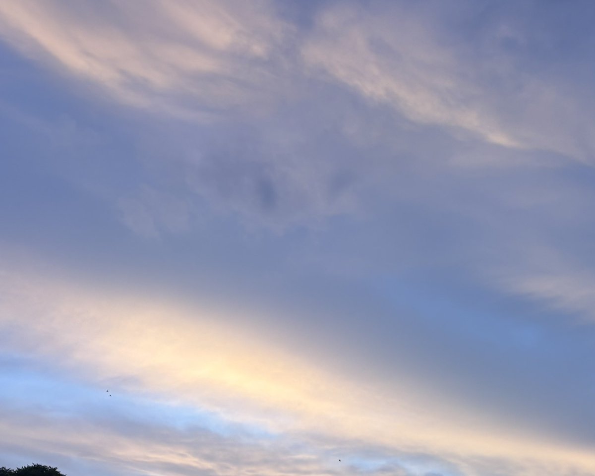 zeeaurav's tweet image. shades of the sky