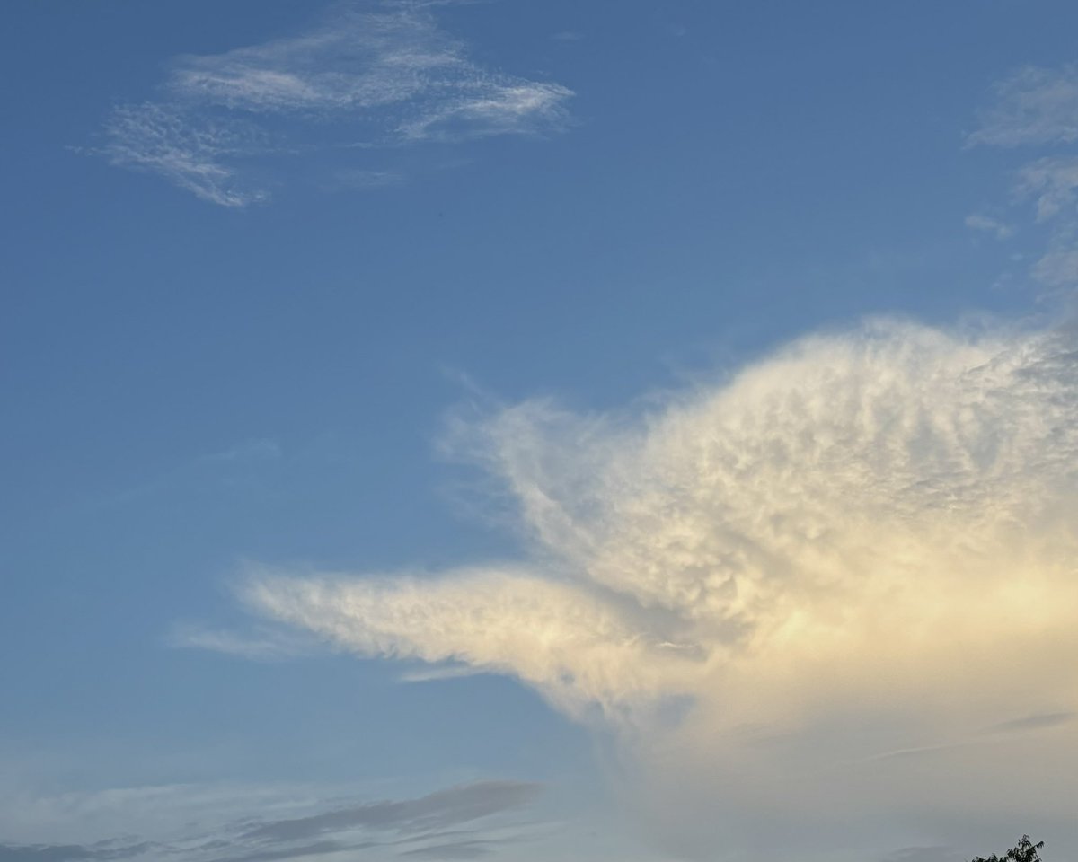 zeeaurav's tweet image. shades of the sky