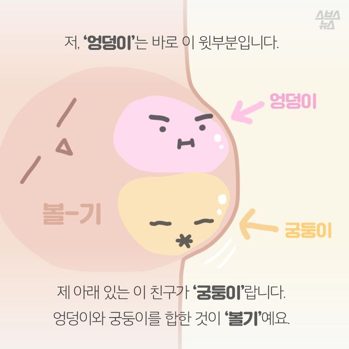 엉덩이와 궁둥이의 차이