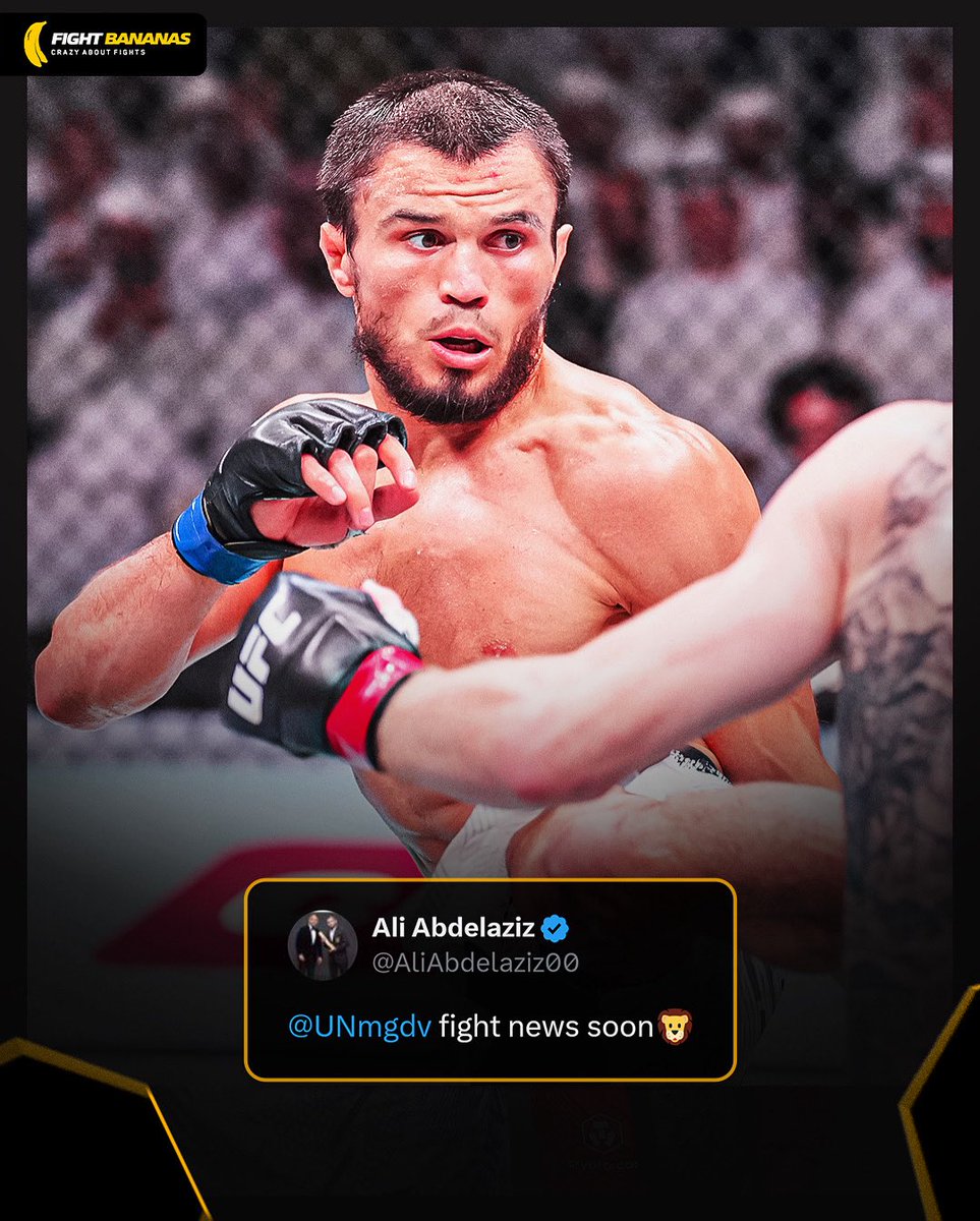 Fight News Soon for Umar Nurmagomedov 📰