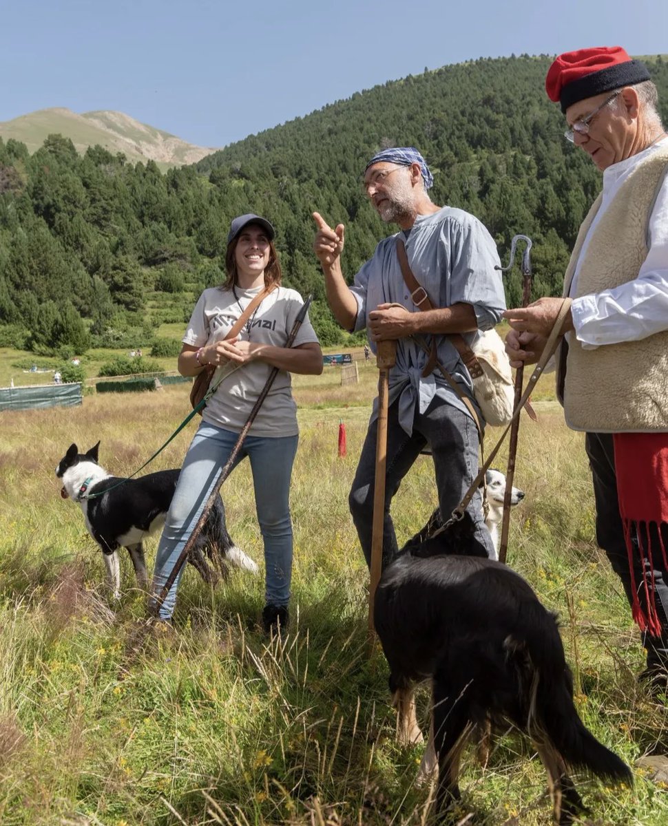 🐕 Aquest diumenge 27 de juliol tindrà lloc a Canillo el 35è Concurs de gossos d'atura. Una tradició que reuneix els millors gossos d’atura en un entorn natural incomparable, als planells de Mereig.

10 h: Esmorzar popular
11 h:  Campionat de gossos d'atura dels Països Catalans