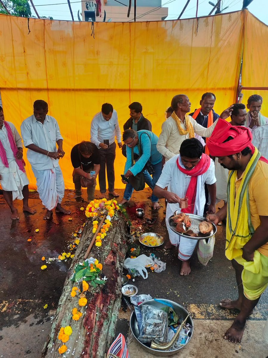 Paat Jatra - Today marks the first day of the 75 days long Bastar Dussehra festival. 
The log of a Sal tree is brought from the forests and revered by Manjhis and chariot makers. This particular log is of great importance in chariot construction. 
#bastardussehra