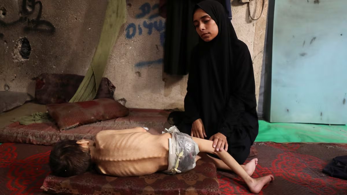FedericoQuevedo's tweet image. Esto es lo que está haciendo Israel en Gaza, una operación de exterminio cruel e inhumana, cebándose en niños, ancianos y enfermos. Tanta crueldad no debería quedar impune. Ojala algún día la Justicia le haga pagar a Netanyahu por sus crímenes.