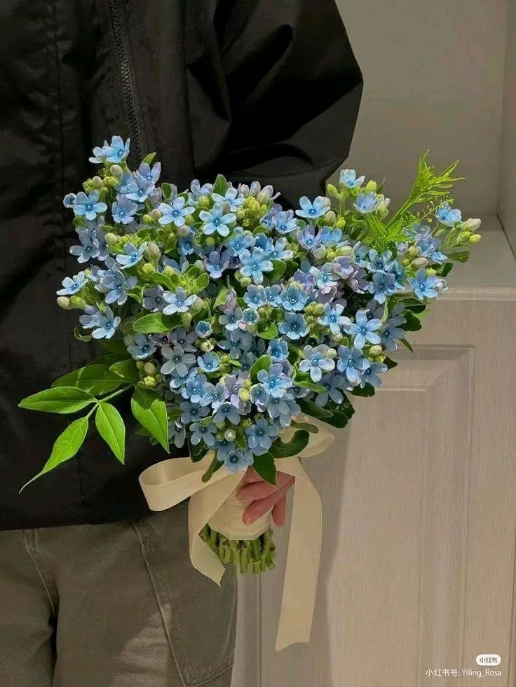 La vie est belle (@lavieestbelie) on Twitter photo 