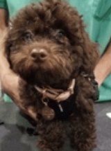 Keith Olbermann tweet media