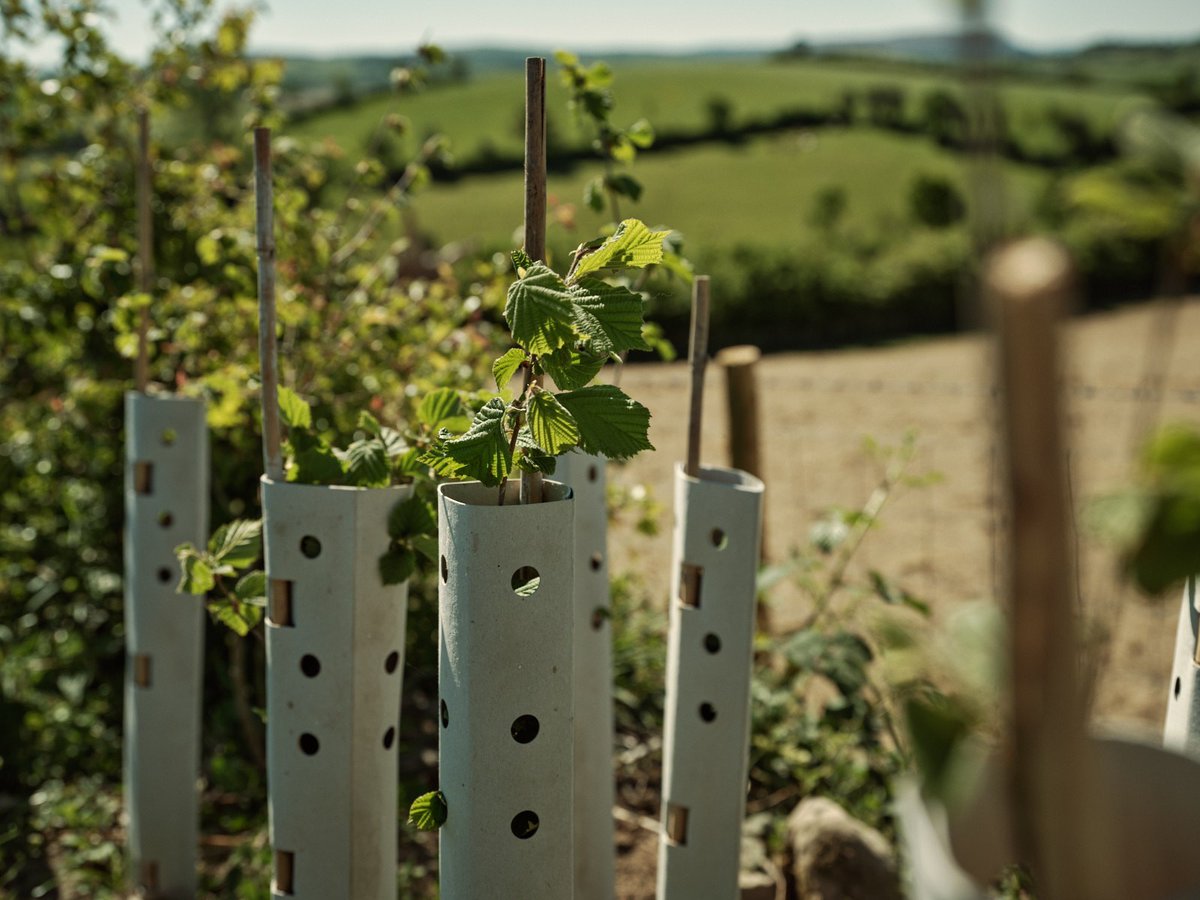 Agricology (@agricology) on Twitter photo ⏰ July newsletter - out now! 🗞️
FULL of information, ideas and insight from the world of sustainable farming 🚜.
Expect:
👩🌾Launch of <a href="/JRfromStrickley/">James Robinson</a> 's farmer profile
🎪Reflections on Groundswell 2025
🌻Organic innovation from Germany
👉ow.ly/Kea450WuM80
📸<a href="/duncphoto/">Duncan Elliott</a> ⏰ July newsletter - out now! 🗞️
FULL of information, ideas and insight from the world of sustainable farming 🚜.
Expect:
👩🌾Launch of <a href="/JRfromStrickley/">James Robinson</a> 's farmer profile
🎪Reflections on Groundswell 2025
🌻Organic innovation from Germany
👉ow.ly/Kea450WuM80
📸<a href="/duncphoto/">Duncan Elliott</a>