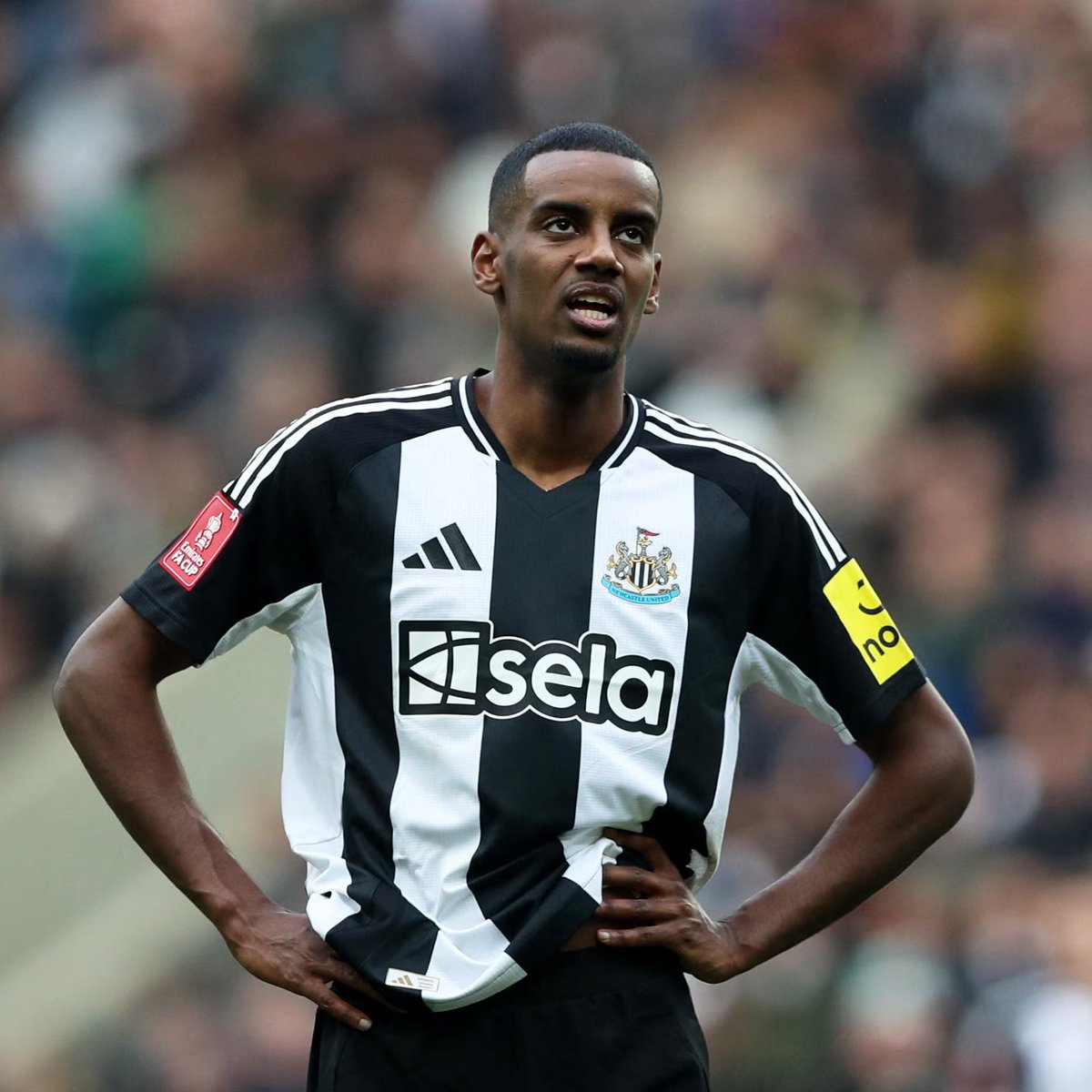 StretfordPaddck's tweet photo. 🚨❌ BREAKING: Manchester United have ruled out a move for Aleksander Isak and other expensive options this summer, including Benjamin Sesko and Nicolas Jackson, having spent over £130m on Matheus Cunha and Bryan Mbeumo. [@ChrisWheelerDM, @TelegraphDucker]

#MUFC https://t.co/5xouS7DgXO