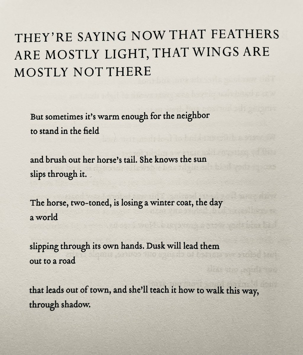 Jill Osier ♥️

“…the day / a world // slipping through its own hands.”