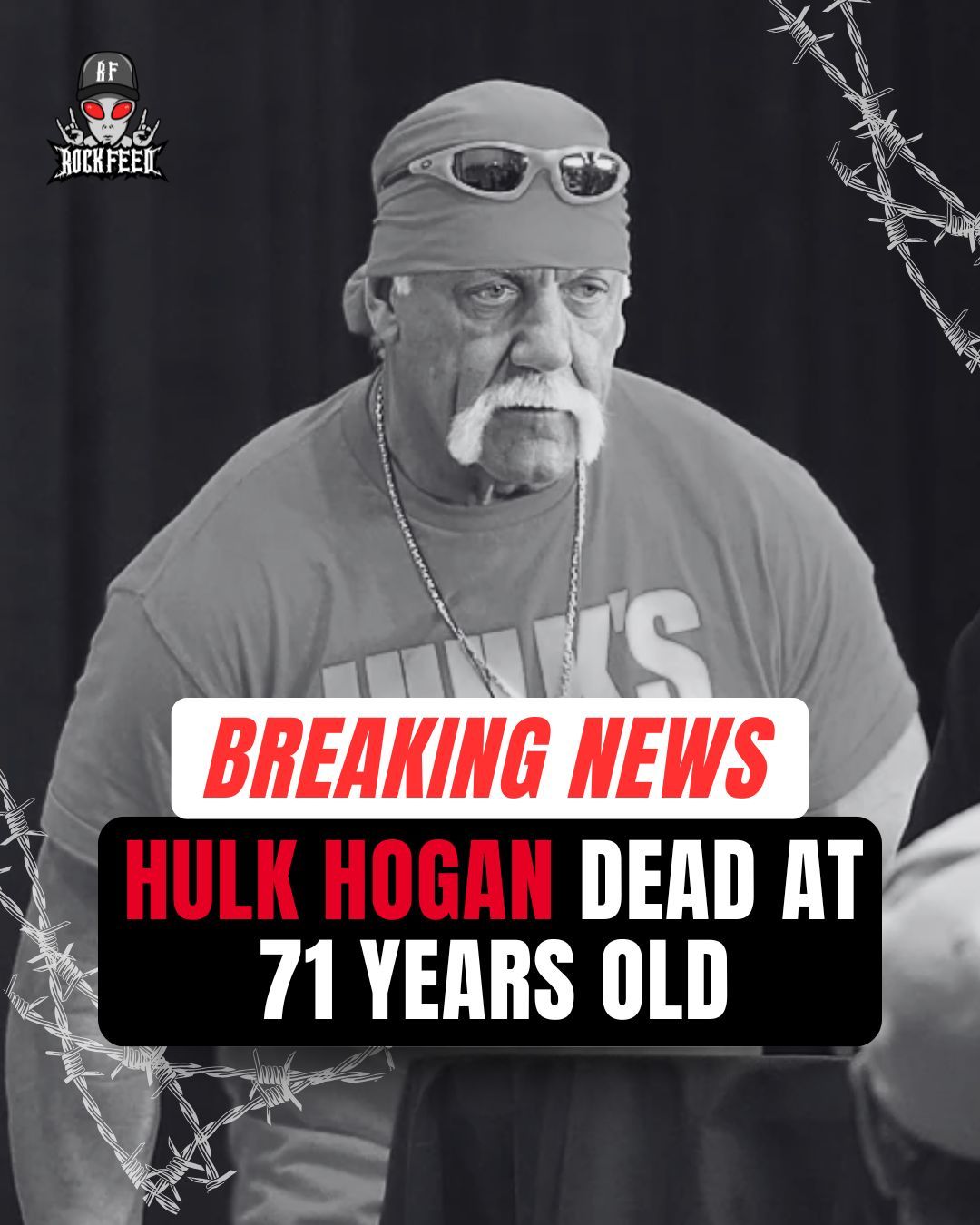Rock Feed 🎸 on X: "BREAKING NEWS: Pro wrestling legend Hulk Hogan has died  at the age of 71 according to a report just in from TMZ.  https://t.co/14xOZ2r3Xl" / X