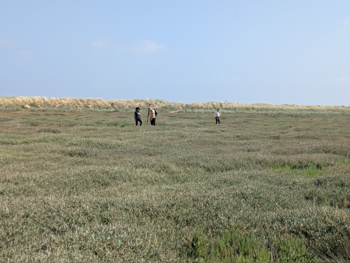 Well done degree apprentices <a href="/KeeleUniversity/">Keele University 🐿️</a> 260 quadrats in the sun, great effort thanks to ENI and NRW