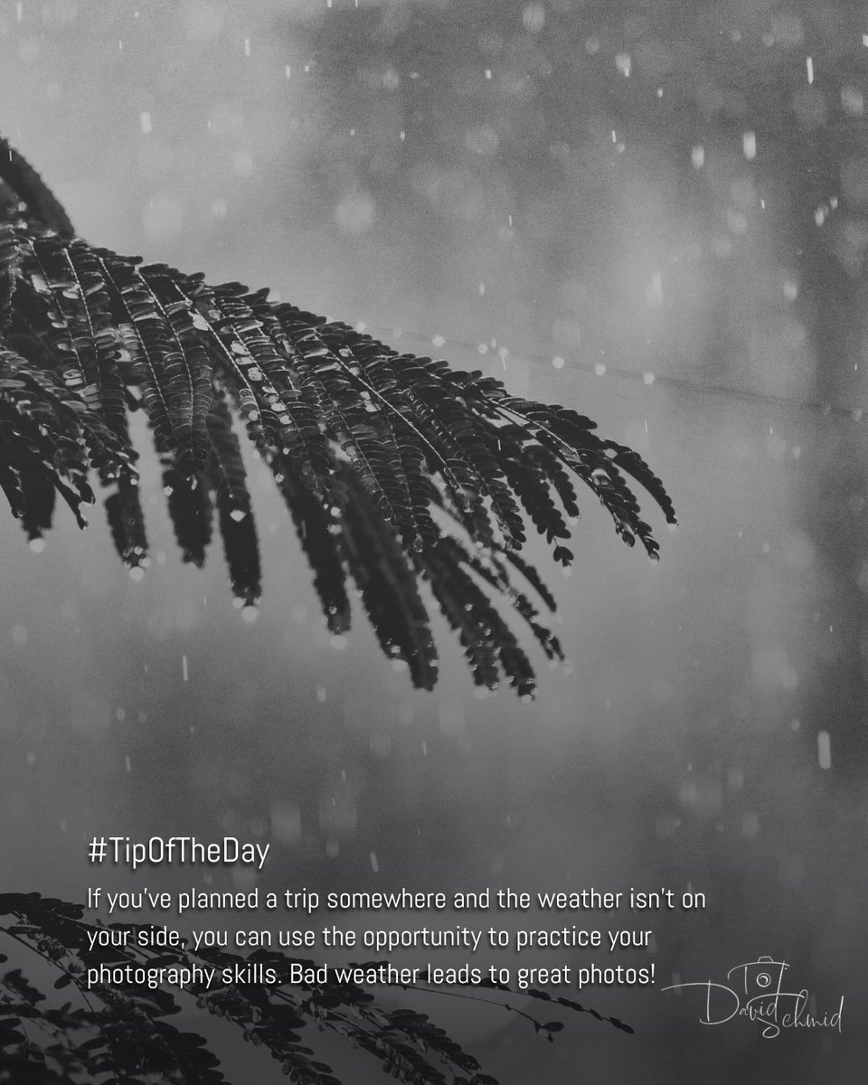 dschmidphoto's tweet image. Unfavorable weather often softens light, enriches textures, and reveals a mood that bright, sunny days can’t deliver. Use this opportunity to practice. 📸

#PhotographyTips #CreativePractice #RainyDayVibes
