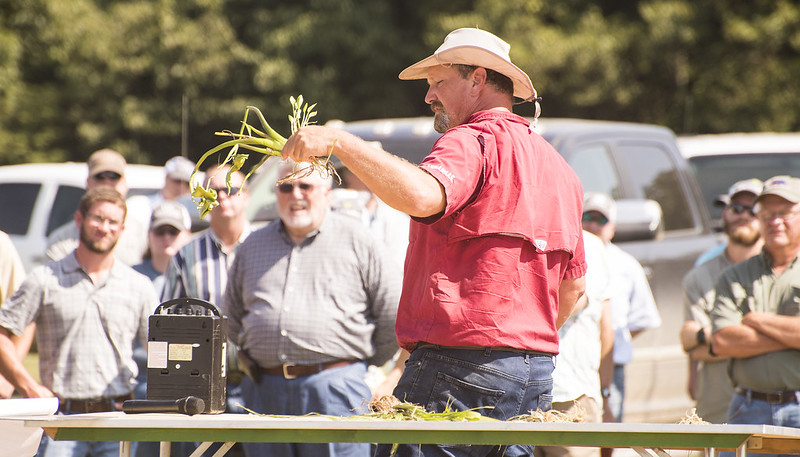 AginArk's tweet image. Three rice weed workshops — Colt, Keiser and Stuttgart — are on tap in August, with CEU opportunities.
bit.ly/3-rice-weed-wo…