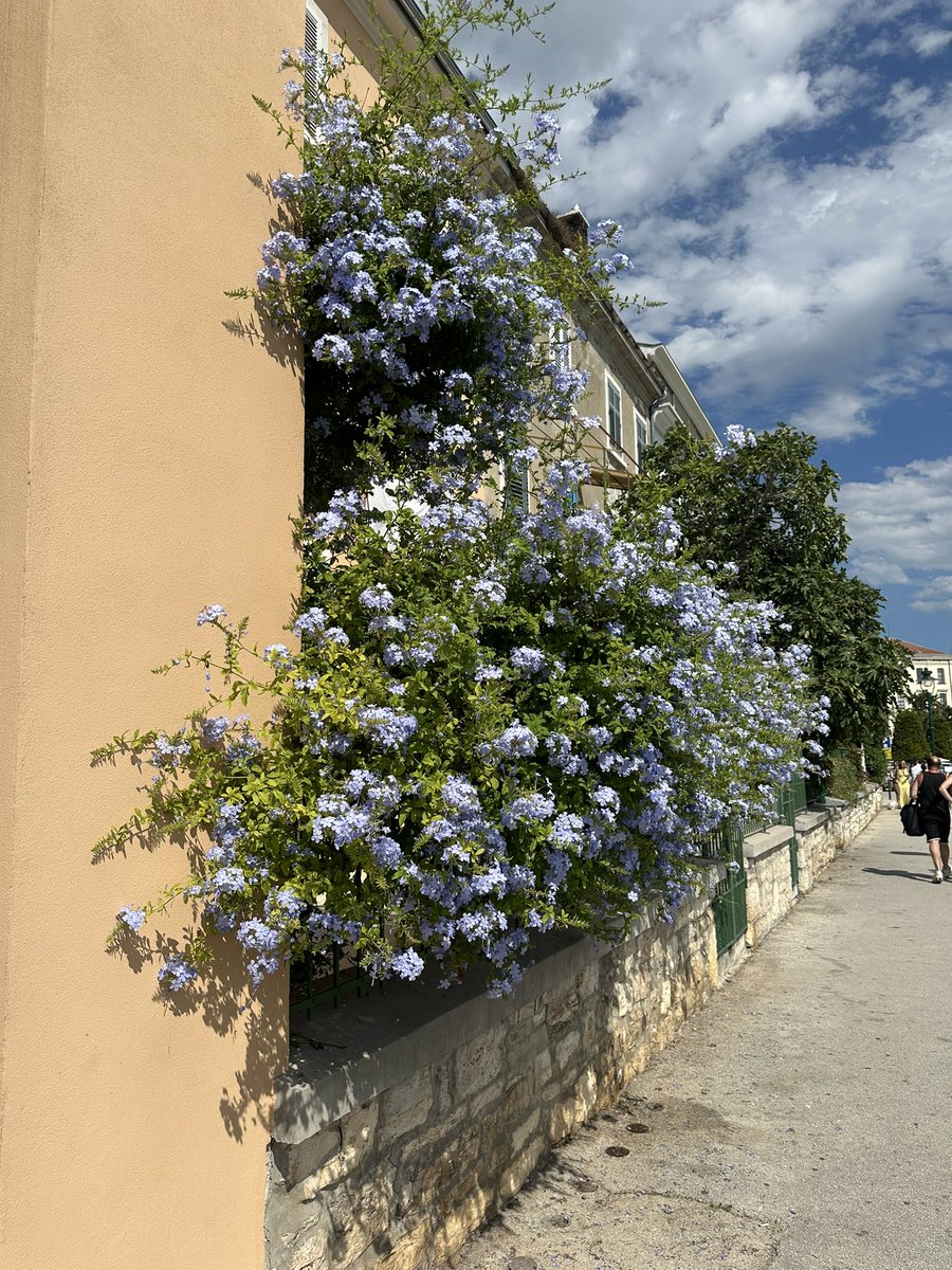pookiednp's tweet image. beautiful croatia ˚⋆𓇼˚⊹ 𖦹 ⁺｡°