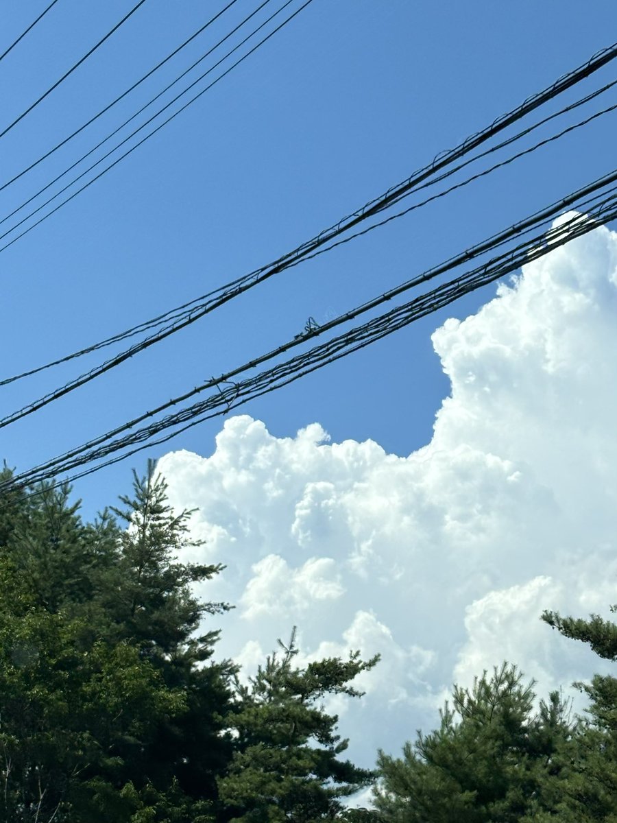 hide_pixel's tweet image. 歌と森の妖怪屋敷
バウンティシスターズ

のような夏の空。