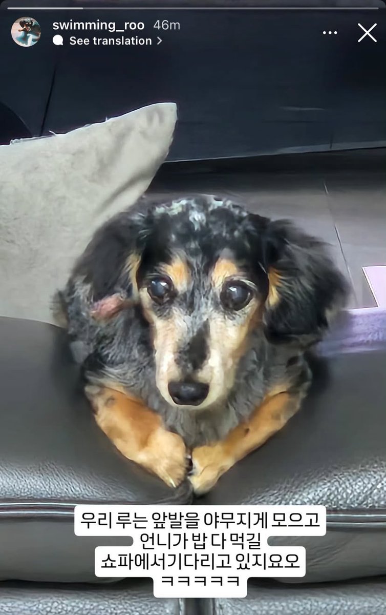 daeportrait's tweet image. roo update… c’mon guys that’s family