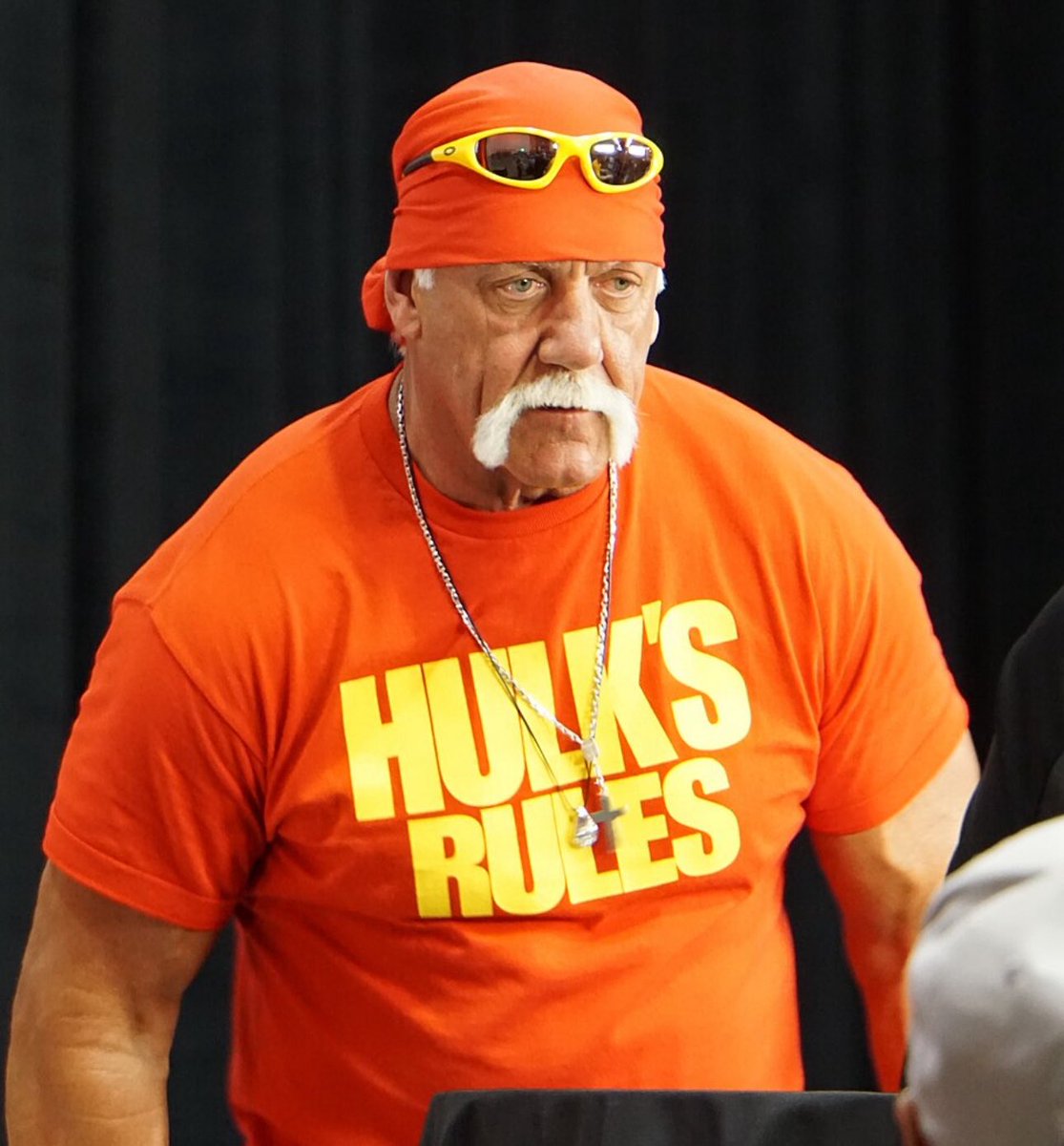 DayWalkerEm1's tweet image. RIP Hulk Hogan!